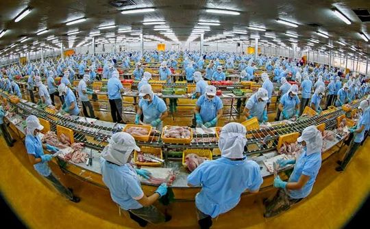 NCIF: GDP của Việt Nam năm 2020 có thể tăng 7,01%