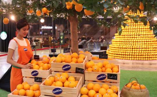 Việt Nam đứng thứ 9 các nước nhập trái cây tươi tại Mỹ