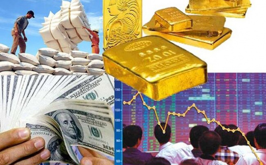 Quản lý Quỹ thực hiện chính sách tiền tệ quốc gia