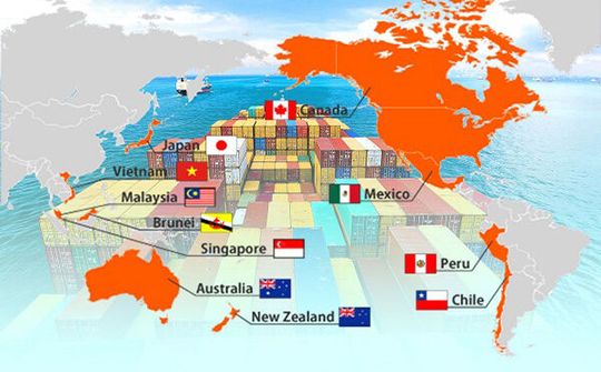 Bức tranh thương mại sau 1 năm Hiệp định CPTPP có hiệu lực