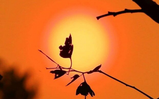 Năm 2019 là năm nóng kỷ lục thứ 2 trong vòng 140 năm qua