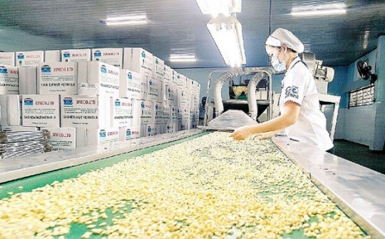 Giảm giá thành tăng chất lượng để đẩy mạnh xuất nhập khẩu điều ra nước ngoài