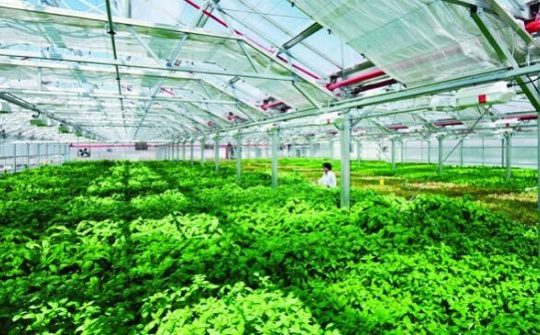 Cần những chính sách thiết thực cho dạy nghề ngành nông nghiệp