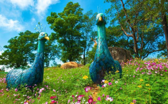 Khai trương hệ thống cáp treo sở hữu kỷ lục “Nhà ga cáp treo lớn nhất thế giới” tại Tây Ninh