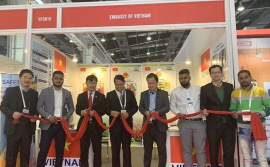 Doanh nghiệp Việt hợp tác trong lĩnh vực năng lượng cùng với doanh nghiệp Ấn Độ