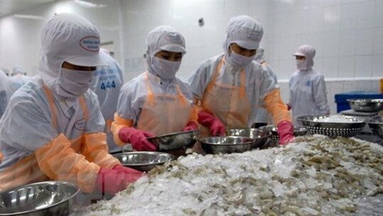 Giảm 80% chi phí kiểm tra chuyên ngành đối với kiểm dịch thuỷ sản nhập khẩu