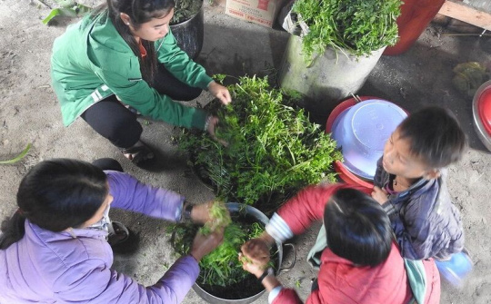 Tết về trên bản tái định cư dưới chân núi Tu Mơ Rông