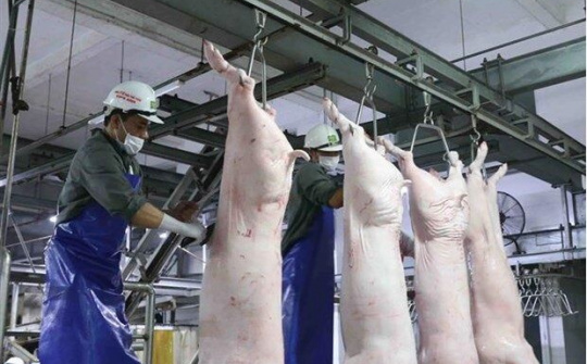 Không để thiếu hàng, tăng giá đột biến dịp Tết