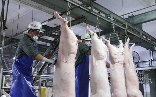 Không để thiếu hàng, tăng giá đột biến dịp Tết
