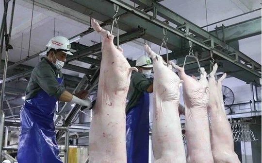Không để thiếu hàng, tăng giá đột biến dịp Tết