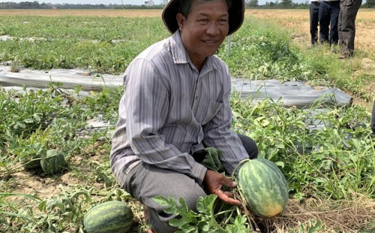 Ảnh hướng môi trường khiến cho ngập mặn xâm nhập sâu và biện pháp ứng phó