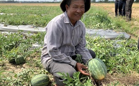 Ảnh hướng môi trường khiến cho ngập mặn xâm nhập sâu và biện pháp ứng phó