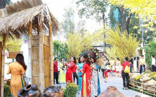 Hoạt động vui Xuân đón Tết Canh Tý tại TP Hồ Chí Minh