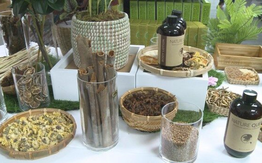 Thương hiệu nguồn gốc thảo dược của Việt Nam tấn công thị trường Anh