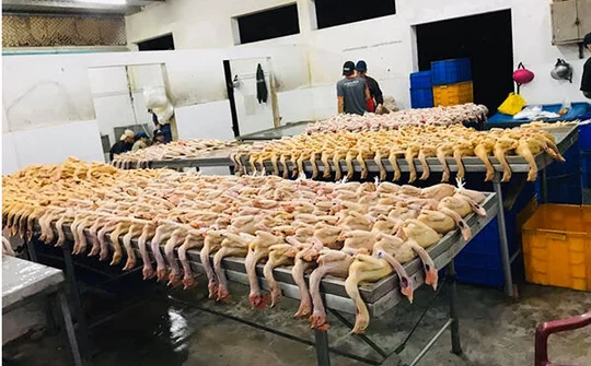 Đà Nẵng: Trực vệ sinh và chống dịch 24/24 trong dịp Tết