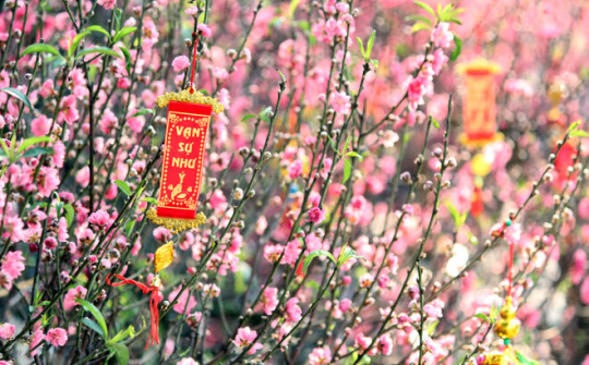 Tăng cường biện pháp bảo đảm đón Tết Nguyên đán vui tươi, lành mạnh