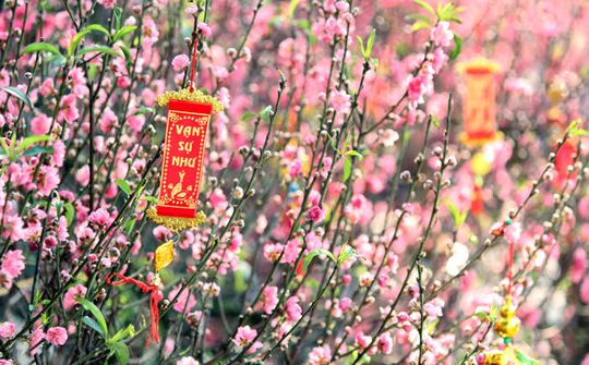 Tăng cường biện pháp bảo đảm đón Tết Nguyên đán vui tươi, lành mạnh
