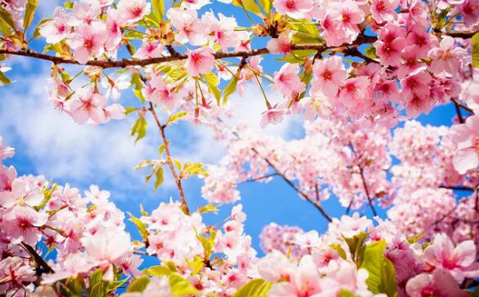 Năm mới, kỳ vọng mới!