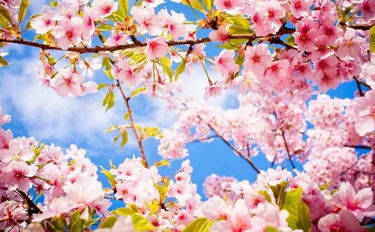 Năm mới, kỳ vọng mới!
