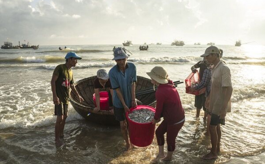Hương vị của biển