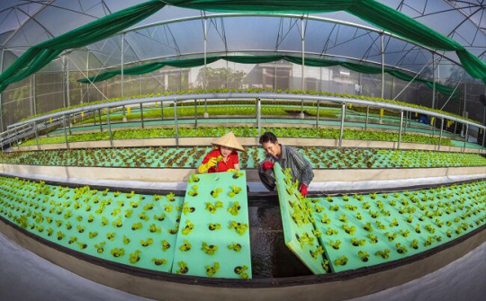 Bước đột phá lịch sử từ nghị quyết của Đảng về "tam nông"