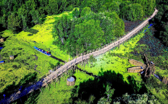 Tra Su Cajuput forest tourism area: Recieved 2 Vietnam’s record
