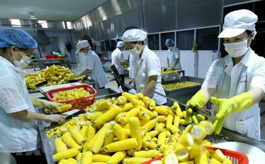 Nâng cao giá trị cho nông sản Việt Nam