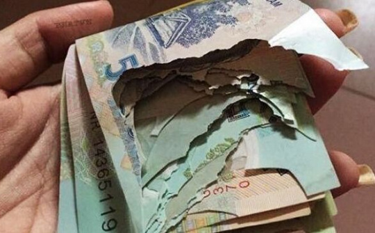 Đề xuất về tiêu hủy tiền