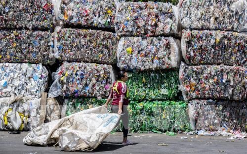 Việt Nam đẩy mạnh xu hướng sử dụng thực phẩm thân thiện với môi trường