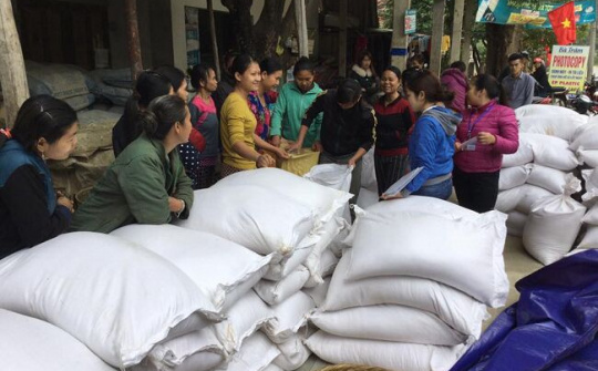 Xuất gạo dự trữ quốc gia cho 2 tỉnh