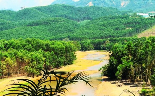 Kinh nghiệm hay của Quảng Trị trong trồng rừng bền vững