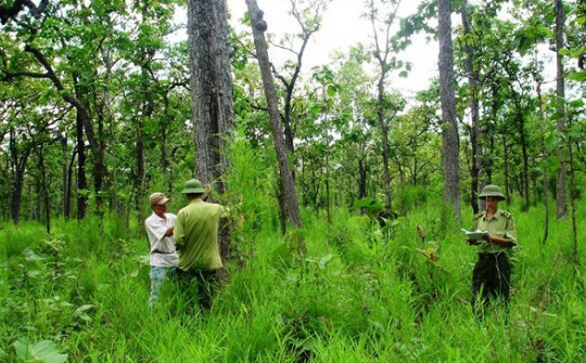Quản lý đất có nguồn gốc từ các nông, lâm trường quốc doanh
