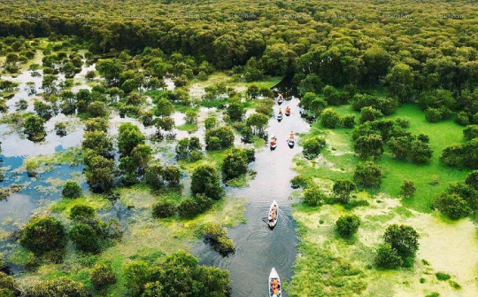 Sống nhờ môi trường