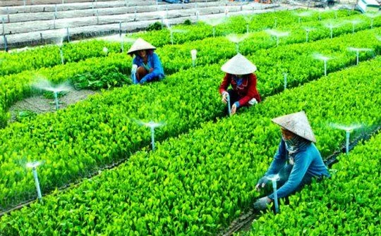 Phấn đấu đến năm 2030 cả nước có trên 5.000 hợp tác xã ứng dụng công nghệ cao