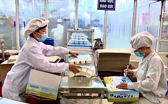 Nỗ lực đưa sản phẩm OCOP đến người tiêu dùng