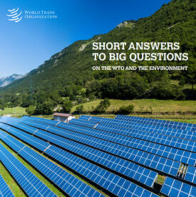 WTO khai trương Cổng thông tin điện tử về phát triển bền vững