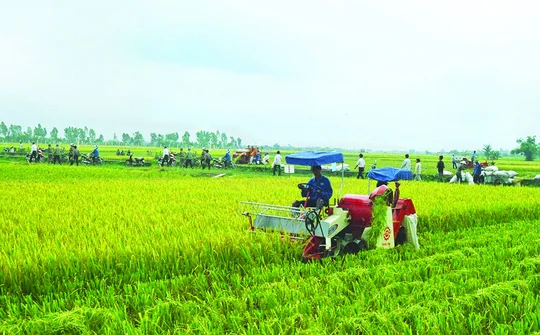Tổ chức Diễn đàn kinh tế tập thể, hợp tác xã
