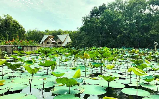Vẻ đẹp lung linh của Trà Sư mùa nước nổi !