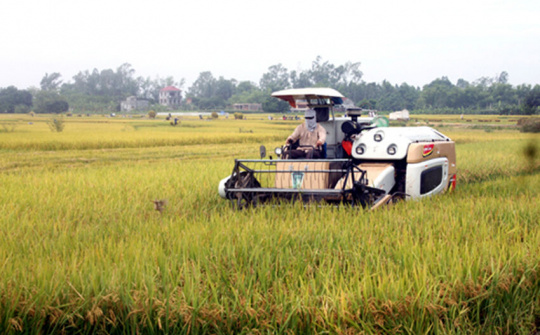 Vĩnh Phúc: Thúc đẩy ngành nông nghiệp phát triển theo hướng hiện đại