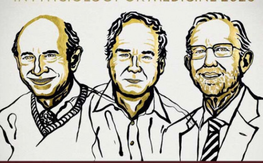 Giải Nobel Y học 2020 vinh danh nghiên cứu về viêm gan C