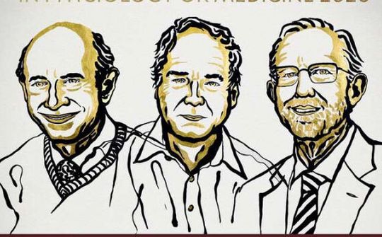 Giải Nobel Y học 2020 vinh danh nghiên cứu về viêm gan C