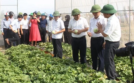 Hội nông dân tỉnh Nghệ An hướng đến mục tiêu: Nông dân giàu có - nông thôn văn minh