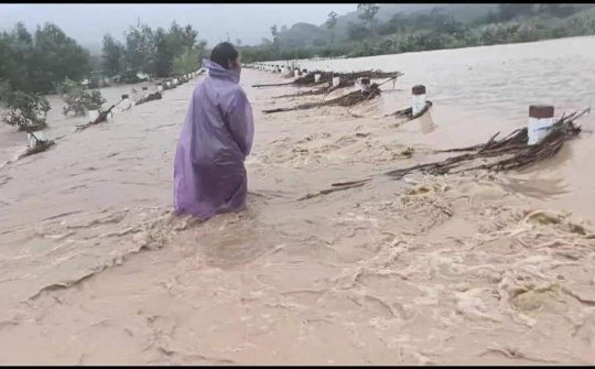 Bão số 12 đổ bộ vào đất liền nhiều địa phương tiếp tục  bị ảnh hưởng