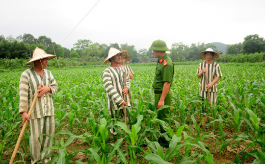 Chế độ, chính sách đối với phạm nhân