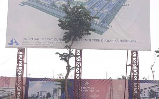 Câu chuyện trách nhiệm từ một dự án đầu tư ở Mỹ Hào