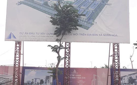 Câu chuyện trách nhiệm từ một dự án đầu tư ở Mỹ Hào