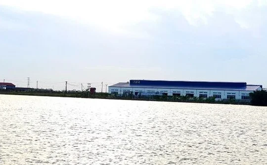 Nam Định: Doanh nghiệp không nghiêm chỉnh chấp hành Quyết định của UBND tỉnh