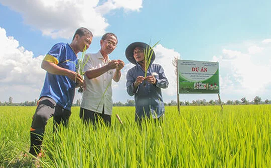 Đến 2025, thành lập mới 10.000 tổ chức kinh tế tập thể