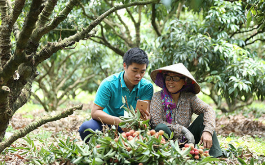 Postmart, Voso giúp nông dân nâng cao giá trị nông sản nhờ công nghệ