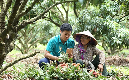 Postmart, Voso giúp nông dân nâng cao giá trị nông sản nhờ công nghệ